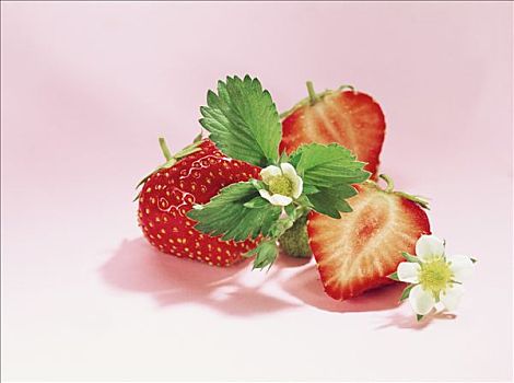 草莓,叶子,花