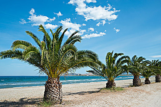 棕榈海滩,海滩,阿卡迪亚,伯罗奔尼撒半岛,希腊,欧洲