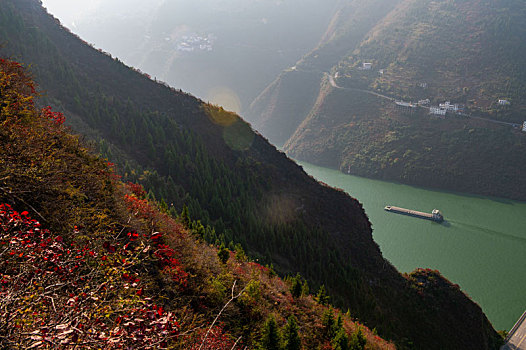 重庆巫山,红叶满山,游客如织