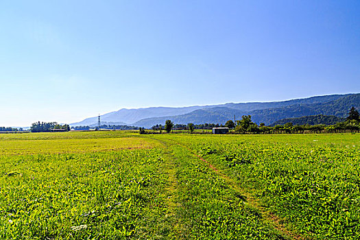 斯洛文尼亚乡村田园草原风光