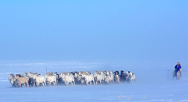 西乌旗冰雪节