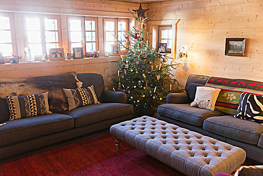圣诞树,客厅