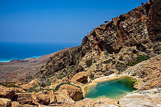 水塘,海岸,保护区,岛屿,索科特拉岛,也门,亚洲