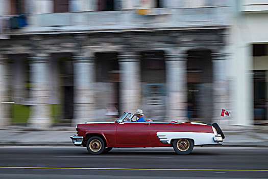 古巴,哈瓦那,行驶,街道,经典,美洲,汽车