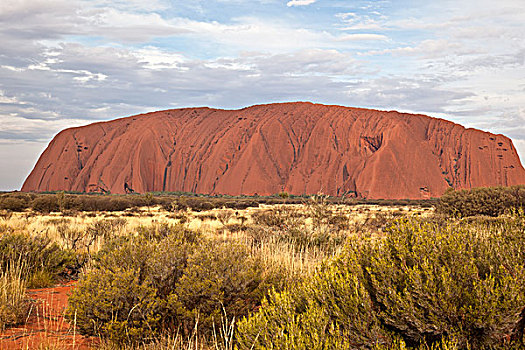乌卢鲁巨石,艾尔斯岩,高,上升,高处,海平面,北领地州,中心,澳大利亚