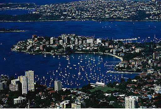 航拍,城市,船,湾,悉尼,新南威尔士,澳大利亚