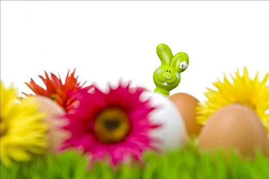 复活节兔子,隐藏,后面,蛋,花,草地
