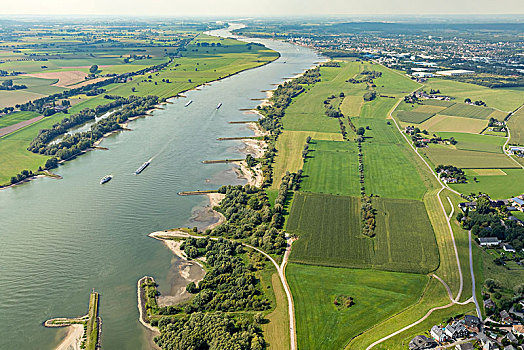 莱茵河,防波堤,右边,堤岸,靠近,河漫滩,筛豆,下莱茵,北莱茵威斯特伐利亚,德国