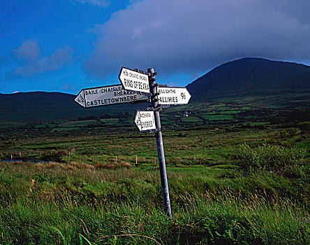 爱尔兰,方向,路标,遥远,区域
