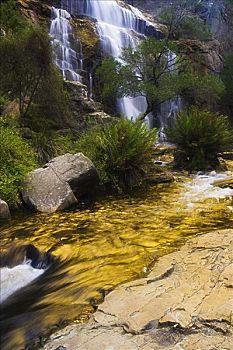 瀑布,国家公园,维多利亚,澳大利亚