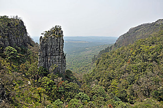 顶峰,巨大,柱子,河,峡谷,自然,自然保护区,普玛兰加省,南非,非洲