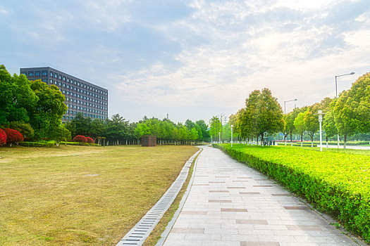 中国江苏南京的城市建筑道路草坪