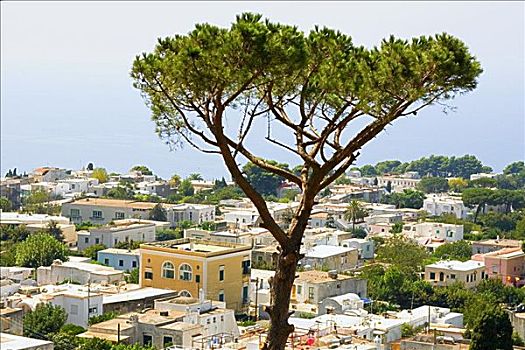 俯拍,建筑,水岸,卡普里岛,坎帕尼亚区,意大利