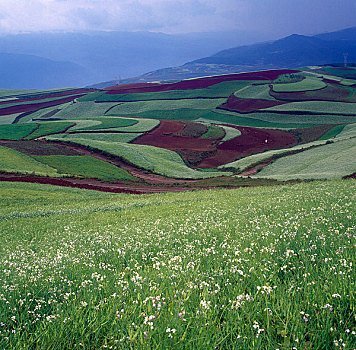 田园风光