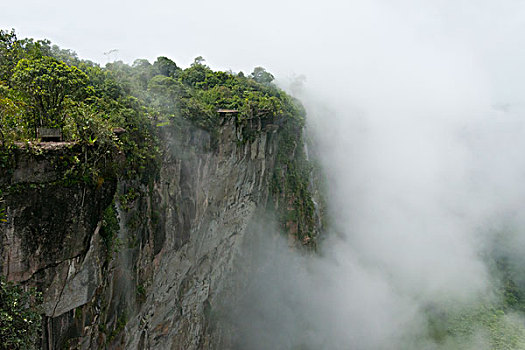 山,雾气,圭亚那,大幅,尺寸