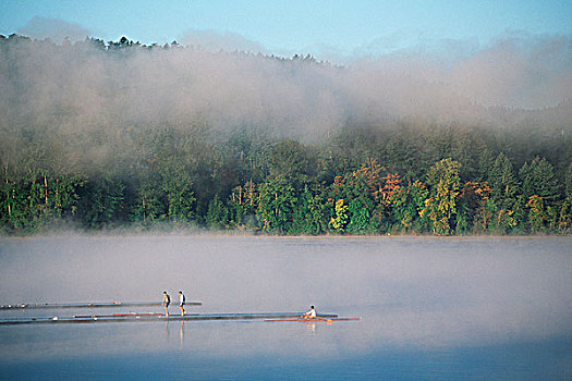 麋鹿,湖,桨手,薄雾,维多利亚,温哥华岛,不列颠哥伦比亚省,加拿大