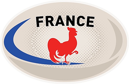 橄榄球,法国,公鸡,小公鸡