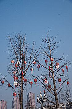 2013春节期间重庆南岸区江南大道路边树上悬挂的风鼓