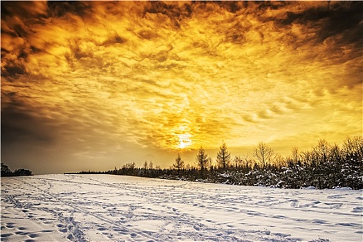 冬季风景,日落