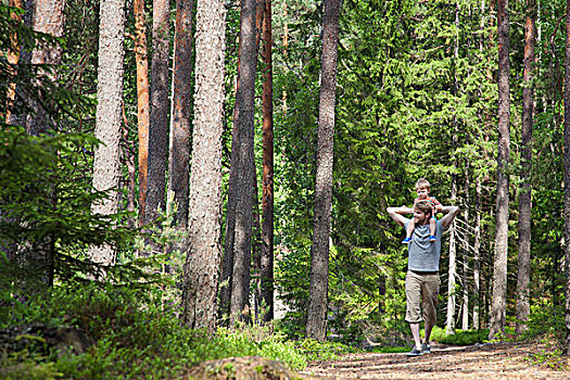 父亲,肩扛,幼儿,儿子,树林,芬兰