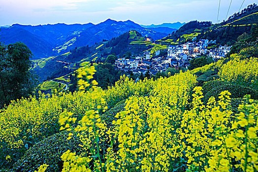 安徽,歙县,石潭,下汰村,春天,油菜花,烂漫