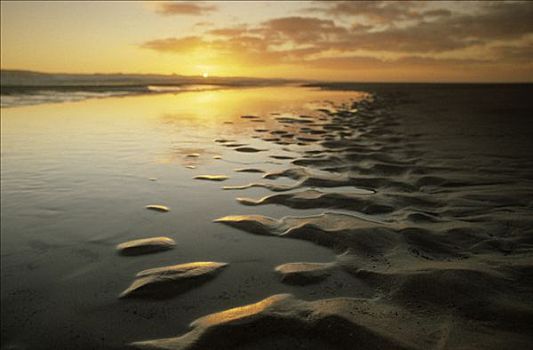 海岸线,日落,弗里斯兰省,荷兰