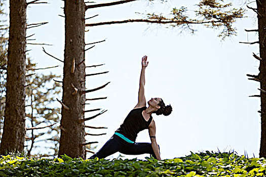 女青年,瑜伽姿势,常青树,西部,州立公园,俄勒冈,美国