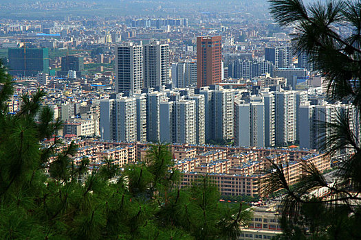 城市建筑的高视角图