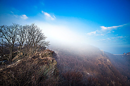 风景