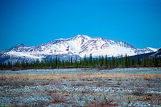 美国,阿拉斯加,北极国家野生动物保护区,布鲁克斯山