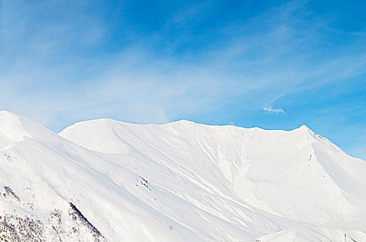 雪,山,鲜明,冬天,白天