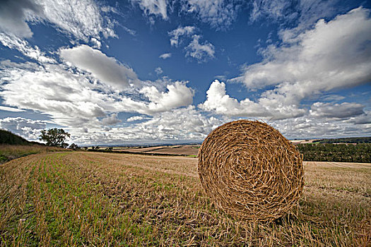 干草包,坐,土地,诺森伯兰郡,英格兰