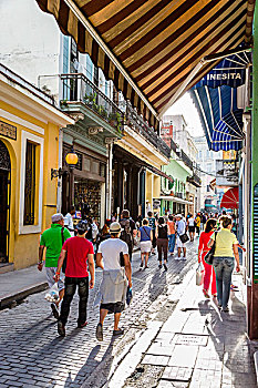 购物者,街道,哈瓦那,古巴