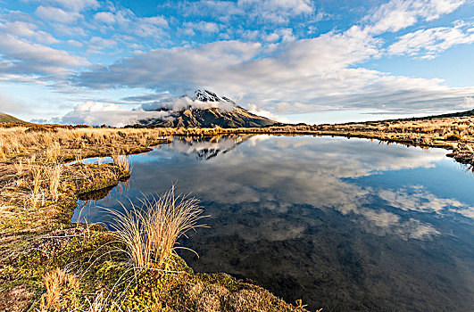 反射,山中小湖,层状火山,塔拉纳基,艾格蒙特国家公园,新西兰,大洋洲
