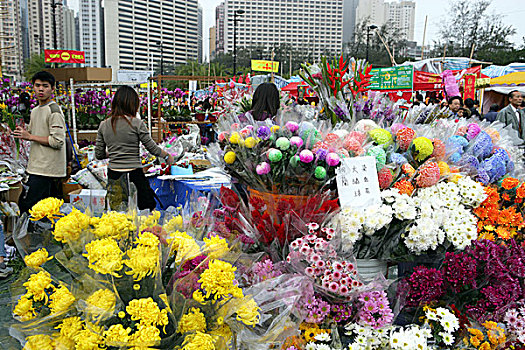 春节,花市,铜锣湾,香港