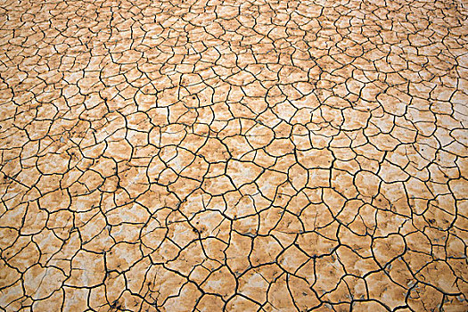 图案,干燥,泥,靠近,死亡谷国家公园,加利福尼亚