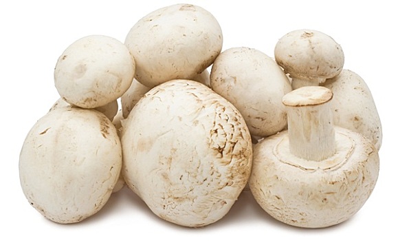 洋蘑菇,蘑菇