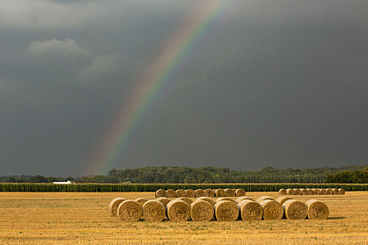 彩虹,干草包,地点,国家公园,匈牙利