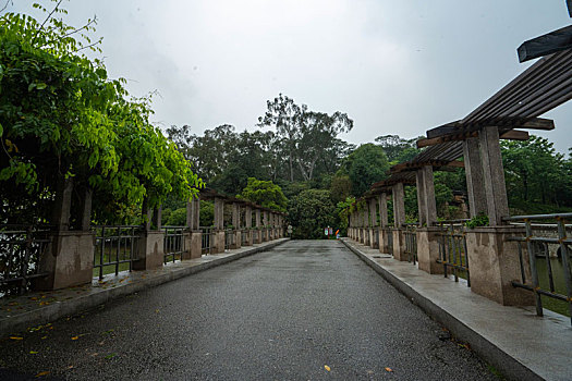 广州2023年春季华南雨中的植物园古桥