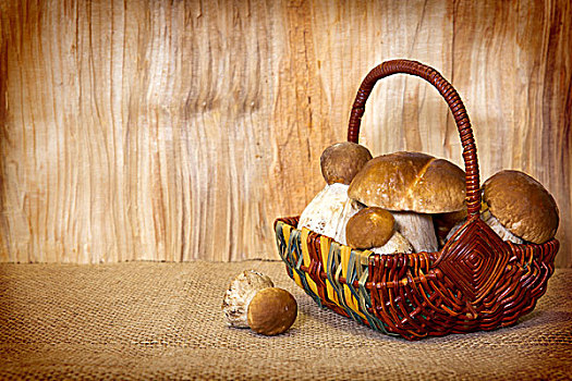 篮子,满,石头,蘑菇