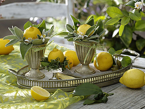 柠檬,桌饰,平台