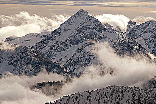 顶峰,冬天,雾,雪,山脉,塞尔扣克山,不列颠哥伦比亚省,加拿大
