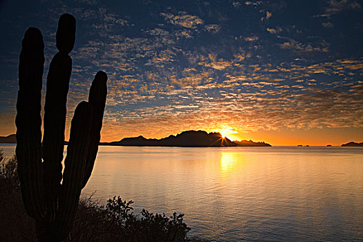 日出,上方,加利福尼亚湾,靠近,洛雷托,墨西哥
