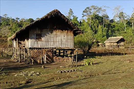 竹子,小屋,农场,少数民族,北方,缅甸,克钦邦,亚洲