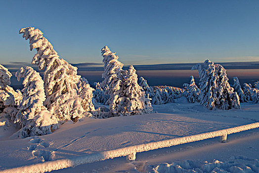 雪,冬季风景,顶峰,布罗肯,夜光,哈尔茨山,萨克森安哈尔特,德国