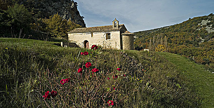 法国,普罗旺斯,沃克吕兹省,雏菊,小教堂