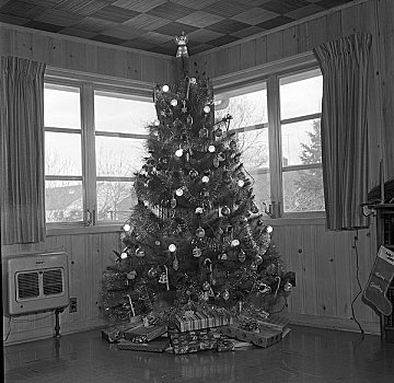 圣诞树,角,客厅