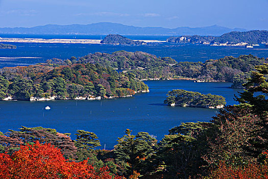 松岛,秋天