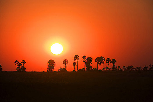 博茨瓦纳,卡拉哈里沙漠,靠近,露营,日落