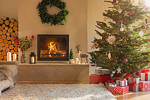 环境,壁炉,圣诞树,客厅